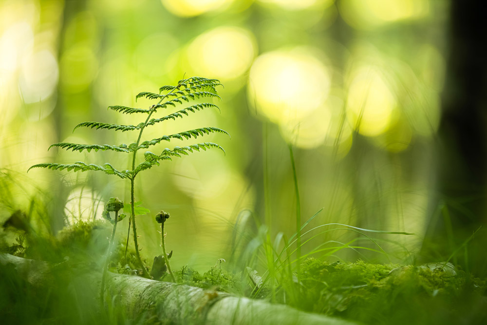 Monatsbilder Mai 2023